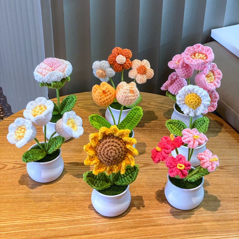 Home Office Depot - 1/2/4Pcs DIY Handwoven Mini Potted Flower