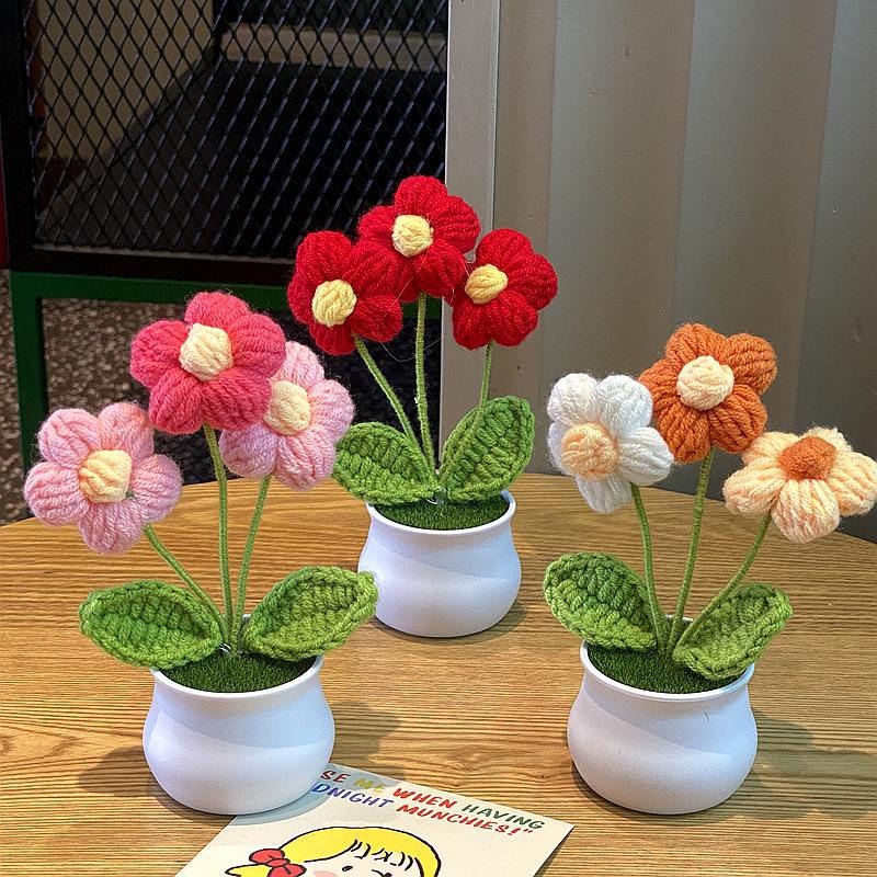 1/2/4Pcs DIY Handwoven Mini Po - Home Office Depot review and price
