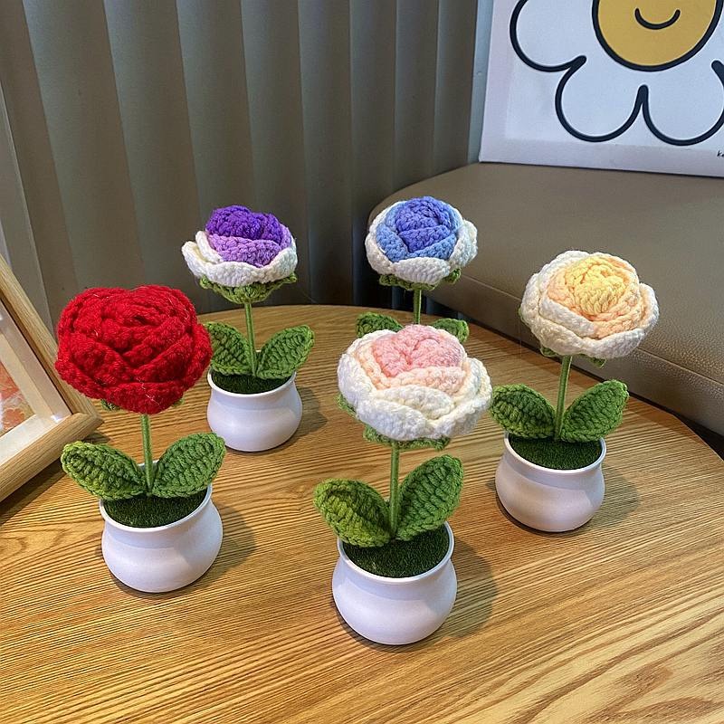 1/2/4Pcs DIY Handwoven Mini Po - Home Office Depot review and price