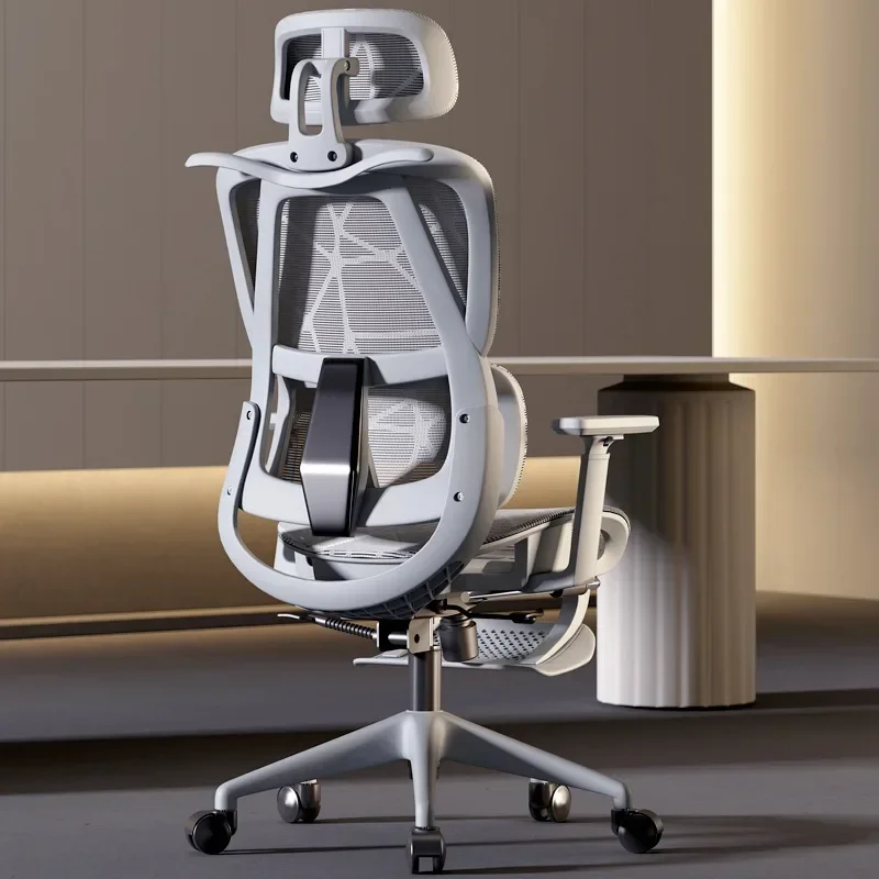 Stable Ergonomic Chair Home Co - Home Office Cozy review and price