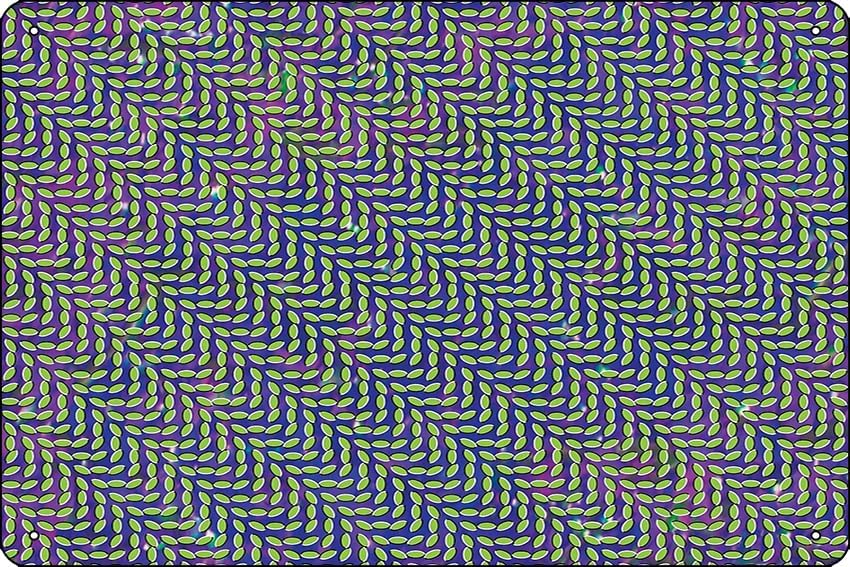 Animal Collective - Merriweath - Home Office X Post review and price